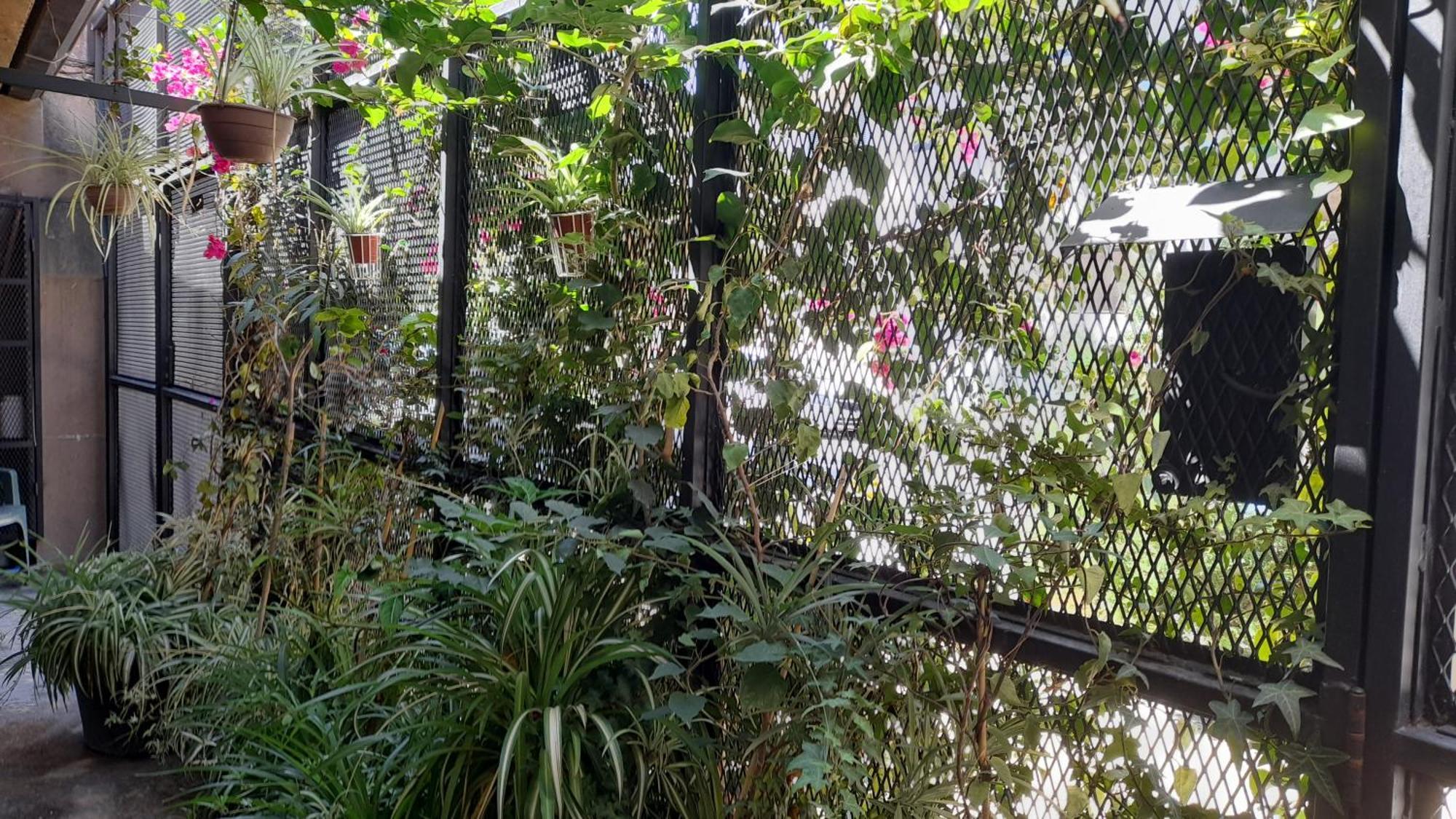La Casita Apartment - Buenos Aires — Photos 2